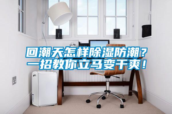 回潮天怎樣除濕防潮？一招教你立馬變干爽！