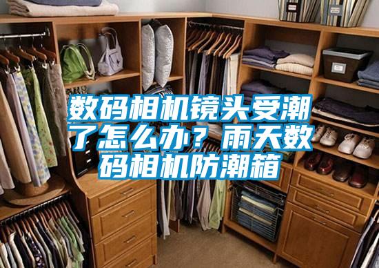 數碼相機鏡頭受潮了怎么辦？雨天數碼相機防潮箱