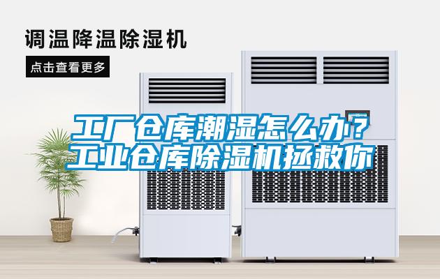 工廠倉庫潮濕怎么辦？工業倉庫除濕機拯救你