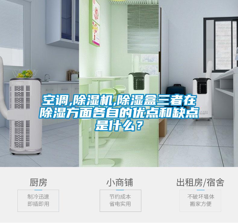 空調(diào),除濕機,除濕盒三者在除濕方面各自的優(yōu)點和缺點是什么？