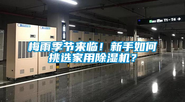 梅雨季節(jié)來臨！新手如何挑選家用除濕機？