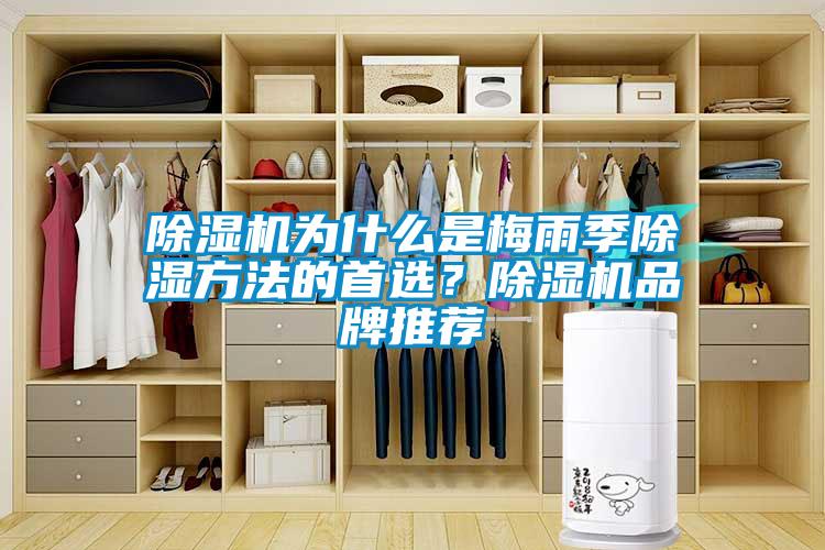 除濕機為什么是梅雨季除濕方法的首選？除濕機品牌推薦