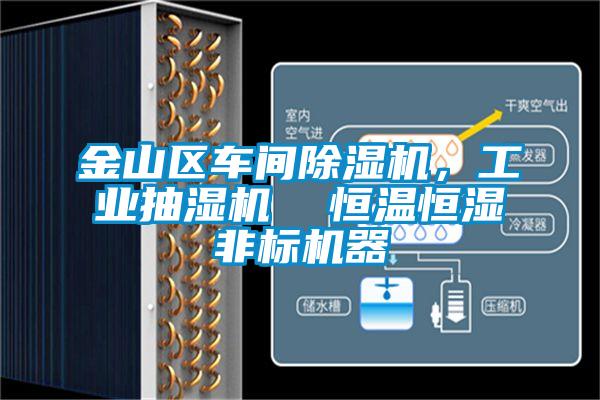 金山區(qū)車間除濕機(jī)，工業(yè)抽濕機(jī)  恒溫恒濕非標(biāo)機(jī)器