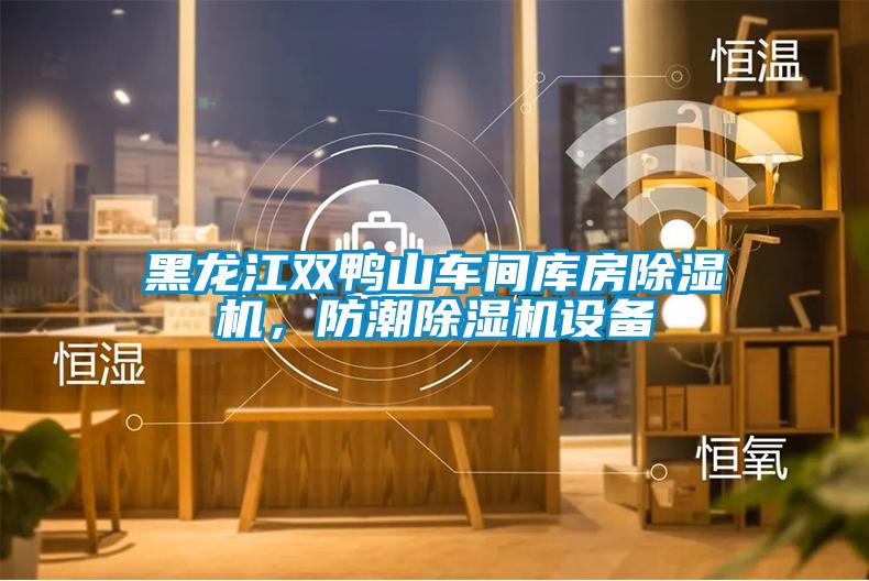 黑龍江雙鴨山車間庫房除濕機，防潮除濕機設備