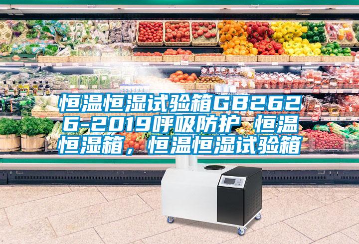 恒溫恒濕試驗箱GB2626-2019呼吸防護 恒溫恒濕箱，恒溫恒濕試驗箱
