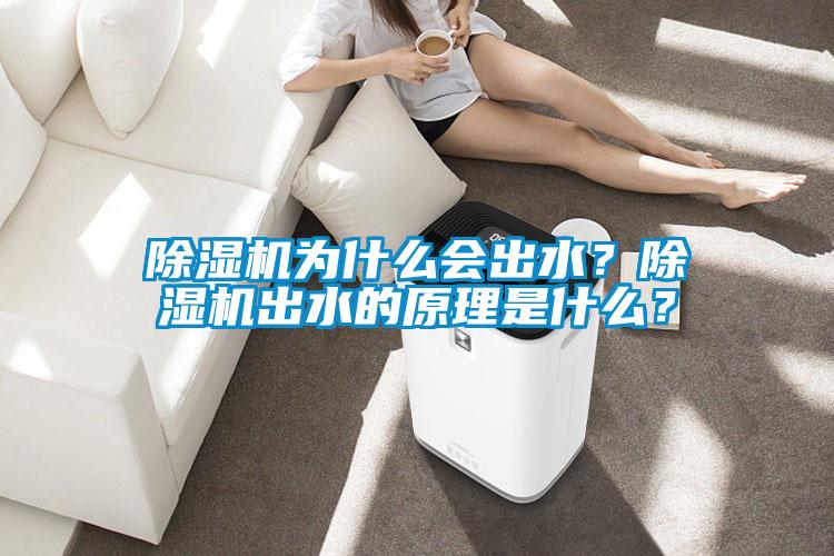 除濕機為什么會出水？除濕機出水的原理是什么？