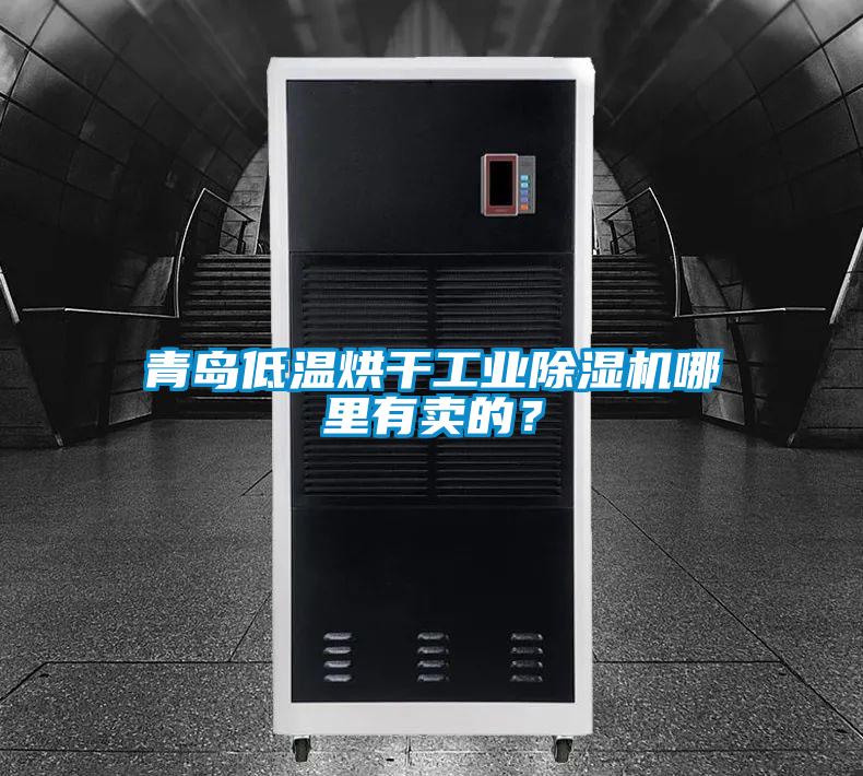 青島低溫烘干工業除濕機哪里有賣的？