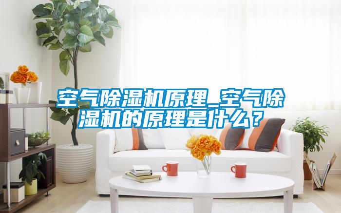 空氣除濕機原理_空氣除濕機的原理是什么？
