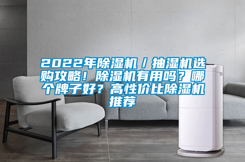 2022年除濕機／抽濕機選購攻略！除濕機有用嗎？哪個牌子好？高性價比除濕機推薦