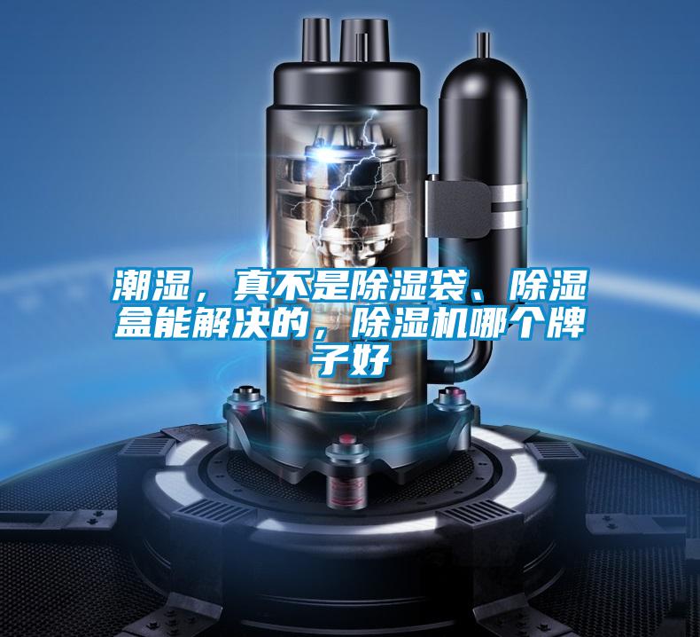潮濕，真不是除濕袋、除濕盒能解決的，除濕機(jī)哪個(gè)牌子好