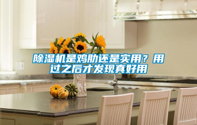 除濕機(jī)是雞肋還是實(shí)用？用過(guò)之后才發(fā)現(xiàn)真好用