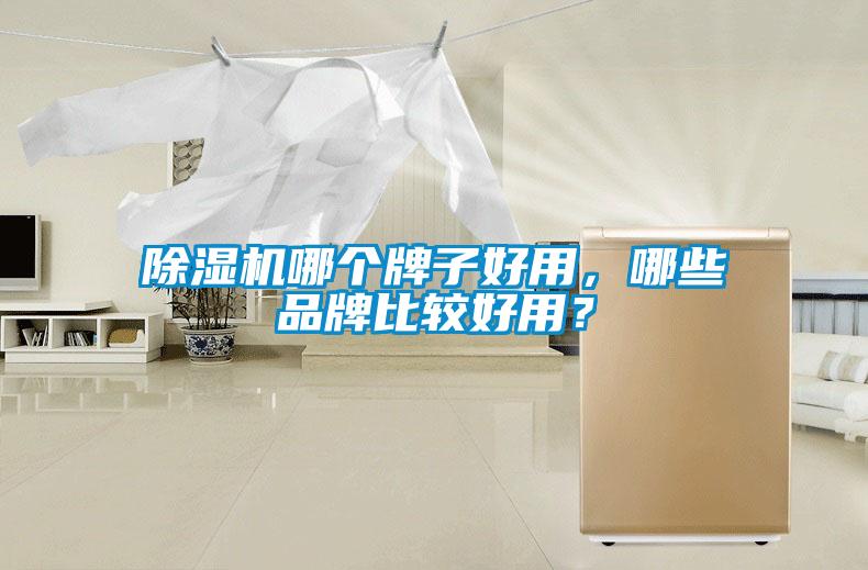 除濕機哪個牌子好用，哪些品牌比較好用？
