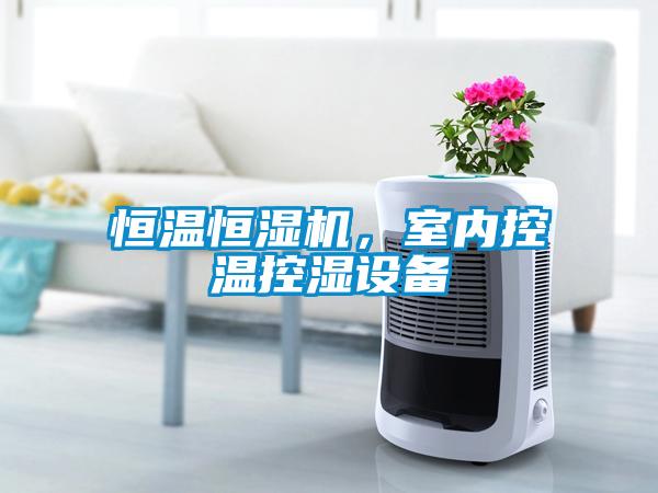 恒溫恒濕機(jī)，室內(nèi)控溫控濕設(shè)備