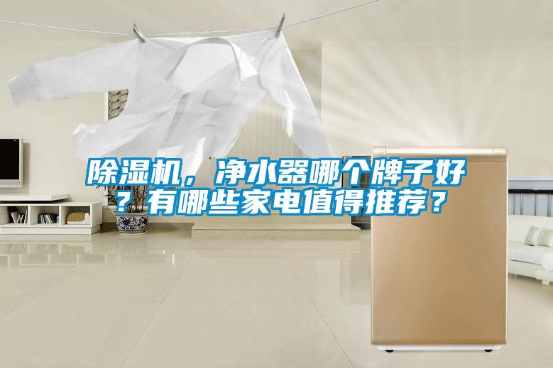 除濕機，凈水器哪個牌子好？有哪些家電值得推薦？