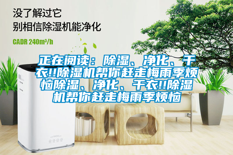 正在閱讀：除濕、凈化、干衣!!除濕機(jī)幫你趕走梅雨季煩惱除濕、凈化、干衣!!除濕機(jī)幫你趕走梅雨季煩惱