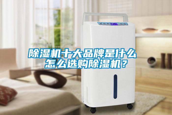 除濕機十大品牌是什么 怎么選購除濕機？