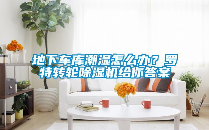 地下車庫(kù)潮濕怎么辦？羅特轉(zhuǎn)輪除濕機(jī)給你答案