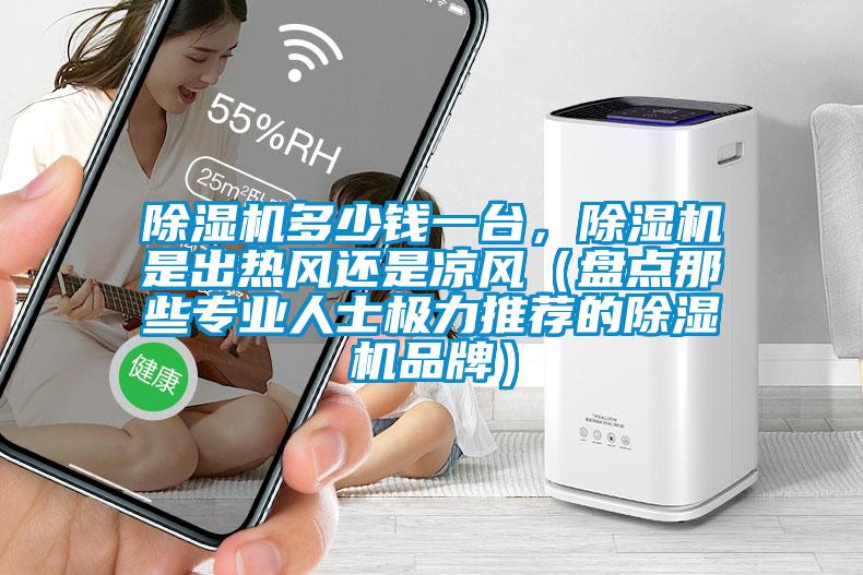 除濕機多少錢一臺，除濕機是出熱風還是涼風（盤點那些專業人士極力推薦的除濕機品牌）