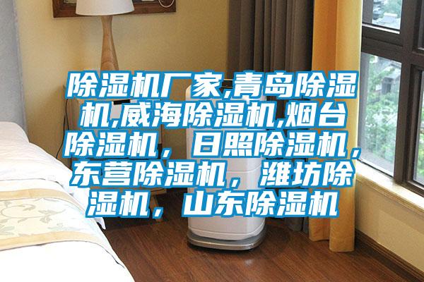 除濕機廠家,青島除濕機,威海除濕機,煙臺除濕機，日照除濕機，東營除濕機，濰坊除濕機，山東除濕機