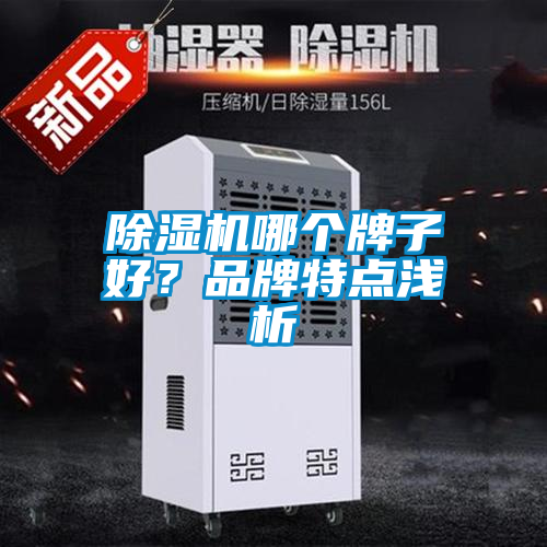 除濕機(jī)哪個(gè)牌子好？品牌特點(diǎn)淺析