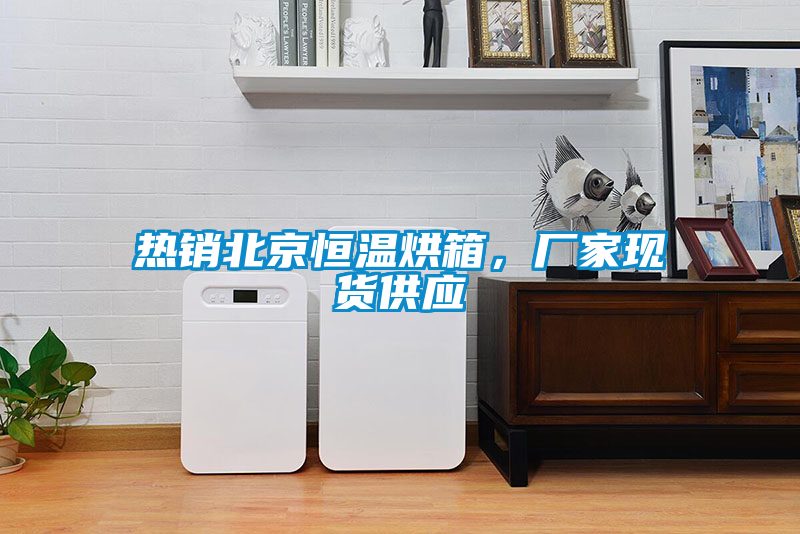 熱銷北京恒溫烘箱，廠家現貨供應