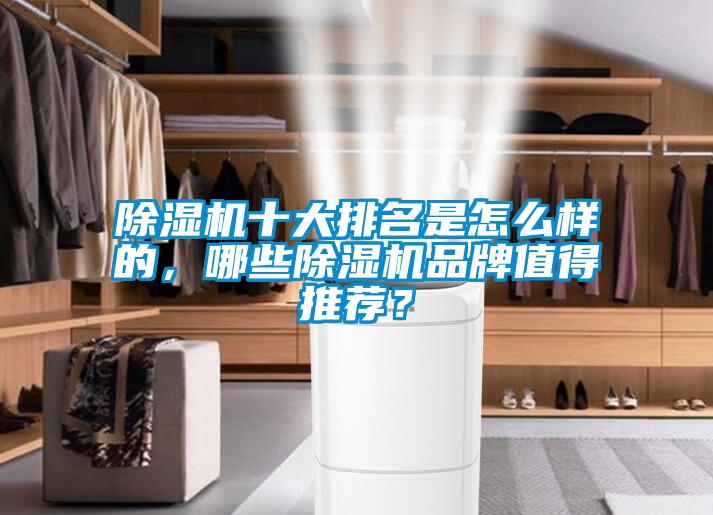 除濕機十大排名是怎么樣的，哪些除濕機品牌值得推薦？