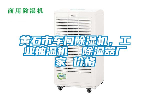 黃石市車間除濕機，工業抽濕機  除濕器廠家 價格