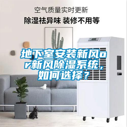 地下室安裝新風or新風除濕系統，如何選擇？