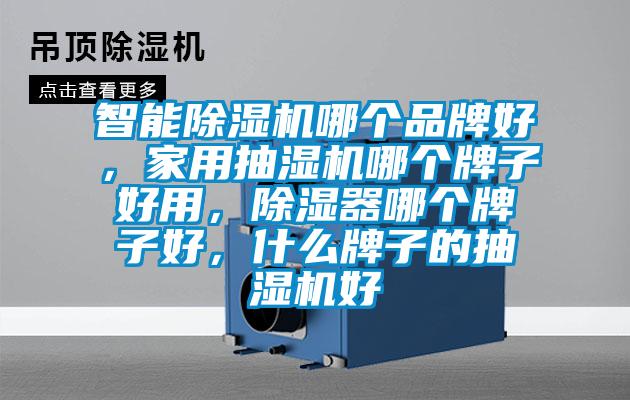 智能除濕機(jī)哪個(gè)品牌好，家用抽濕機(jī)哪個(gè)牌子好用，除濕器哪個(gè)牌子好，什么牌子的抽濕機(jī)好