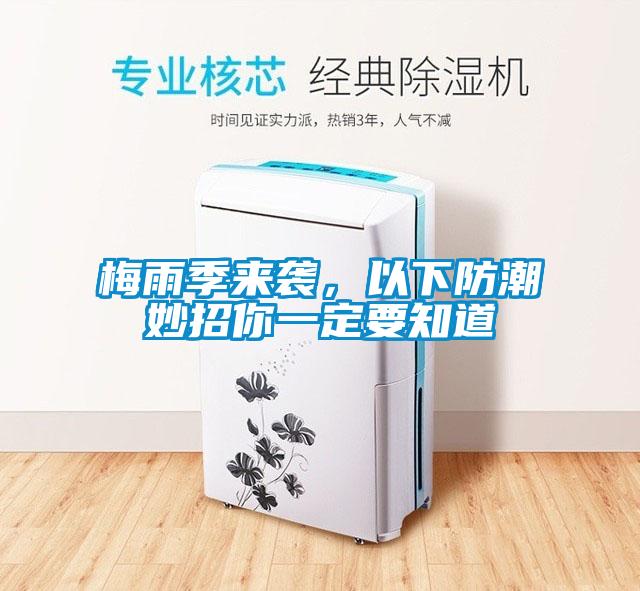 梅雨季來襲，以下防潮妙招你一定要知道