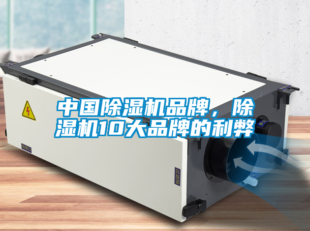 中國除濕機品牌，除濕機10大品牌的利弊