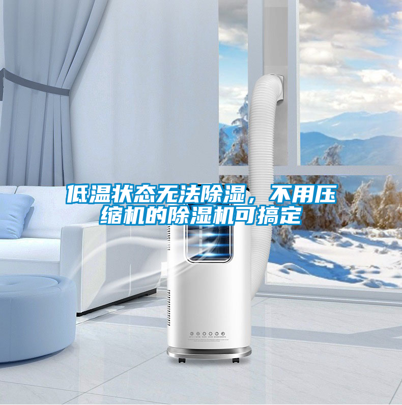 低溫狀態無法除濕，不用壓縮機的除濕機可搞定