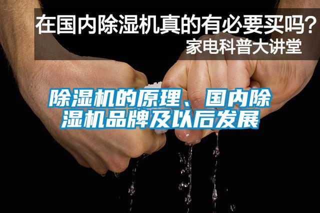除濕機的原理、國內除濕機品牌及以后發(fā)展
