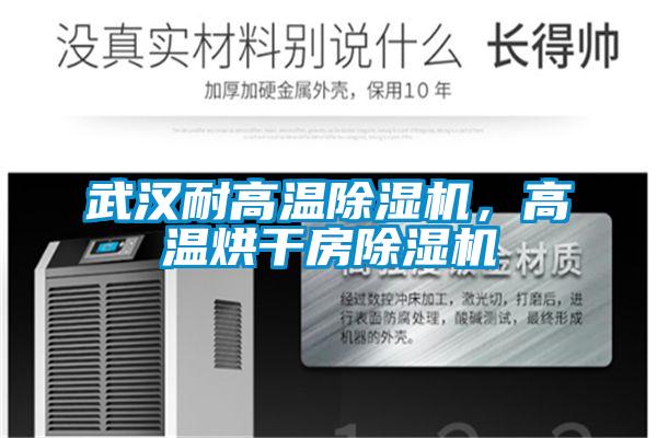 武漢耐高溫除濕機，高溫烘干房除濕機
