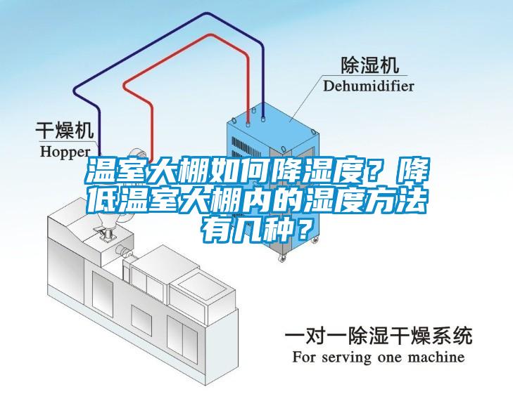 溫室大棚如何降濕度？降低溫室大棚內(nèi)的濕度方法有幾種？