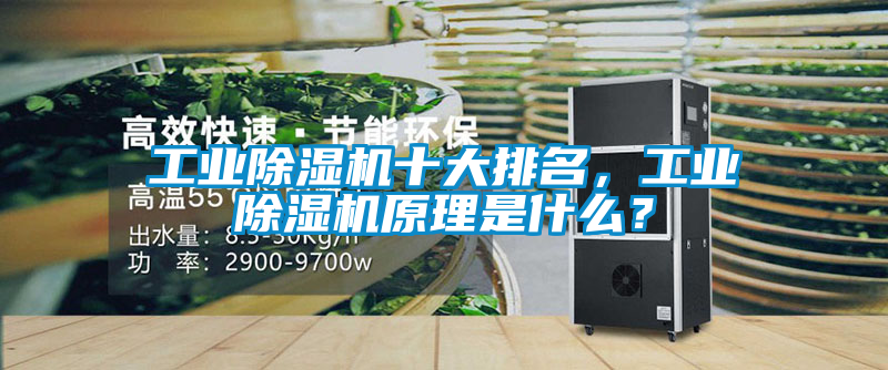 工業(yè)除濕機十大排名，工業(yè)除濕機原理是什么？