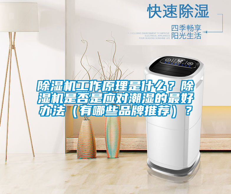 除濕機工作原理是什么？除濕機是否是應(yīng)對潮濕的最好辦法（有哪些品牌推薦）？