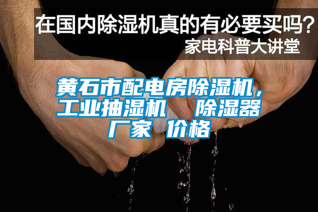 黃石市配電房除濕機(jī)，工業(yè)抽濕機(jī)  除濕器廠家 價格