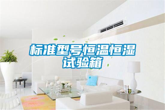 標(biāo)準(zhǔn)型號恒溫恒濕試驗箱