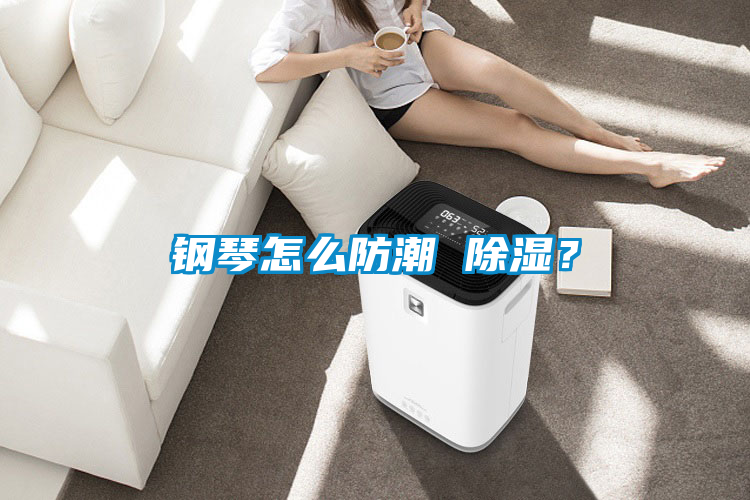 鋼琴怎么防潮 除濕？