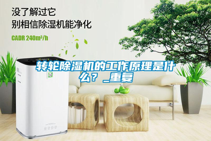 轉(zhuǎn)輪除濕機的工作原理是什么？_重復(fù)