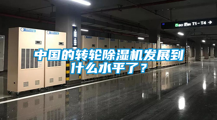 中國的轉(zhuǎn)輪除濕機(jī)發(fā)展到什么水平了？