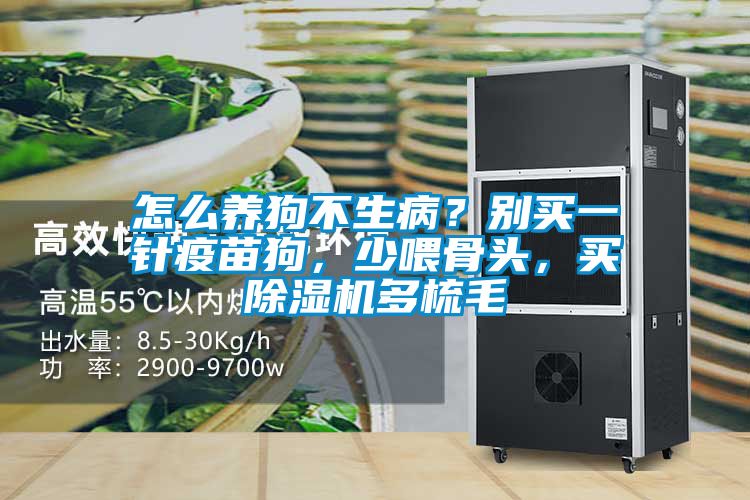 怎么養(yǎng)狗不生病？別買一針疫苗狗，少喂骨頭，買除濕機多梳毛