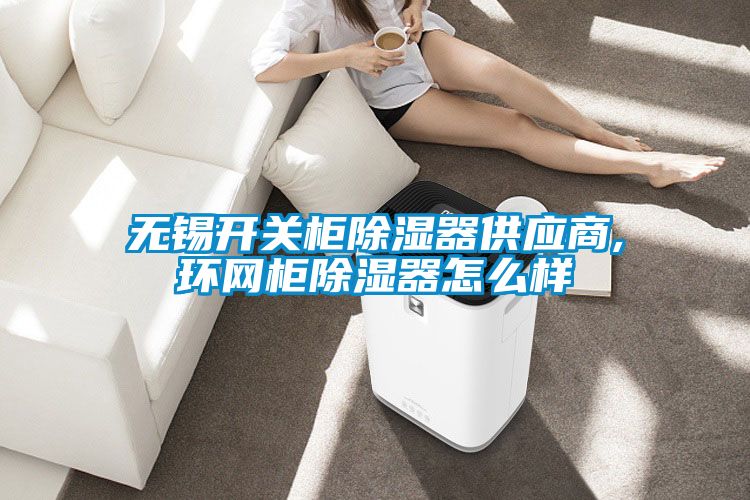 無(wú)錫開(kāi)關(guān)柜除濕器供應(yīng)商,環(huán)網(wǎng)柜除濕器怎么樣