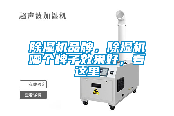 除濕機(jī)品牌，除濕機(jī)哪個(gè)牌子效果好，看這里