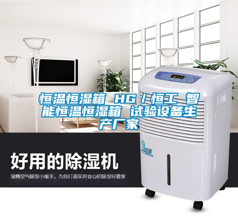 恒溫恒濕箱 HG／恒工 智能恒溫恒濕箱 試驗設備生產(chǎn)廠家