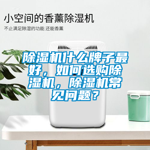 除濕機什么牌子最好，如何選購除濕機，除濕機常見問題？
