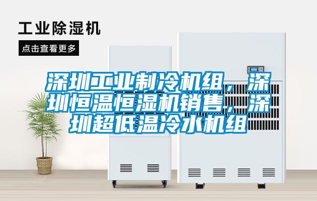 深圳工業(yè)制冷機(jī)組，深圳恒溫恒濕機(jī)銷售，深圳超低溫冷水機(jī)組