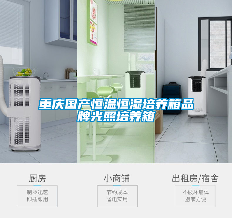 重慶國產恒溫恒濕培養(yǎng)箱品牌光照培養(yǎng)箱