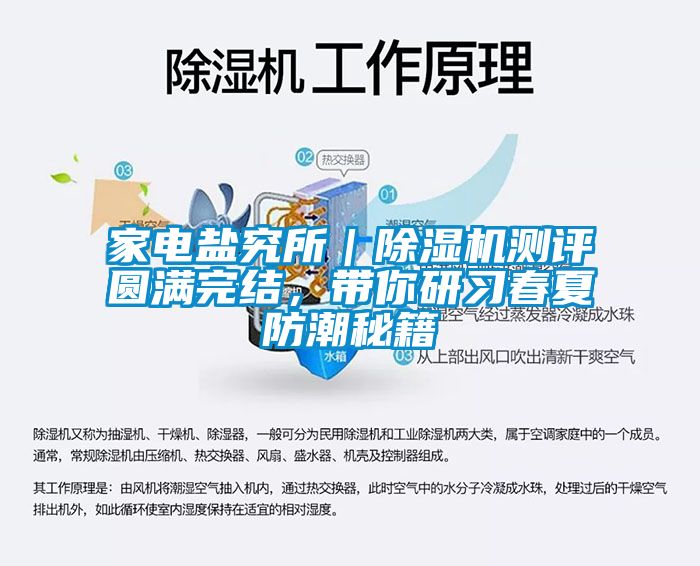 家電鹽究所｜除濕機測評圓滿完結，帶你研習春夏防潮秘籍